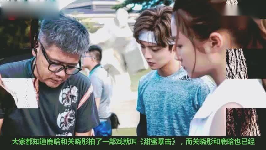 救援袋鼬