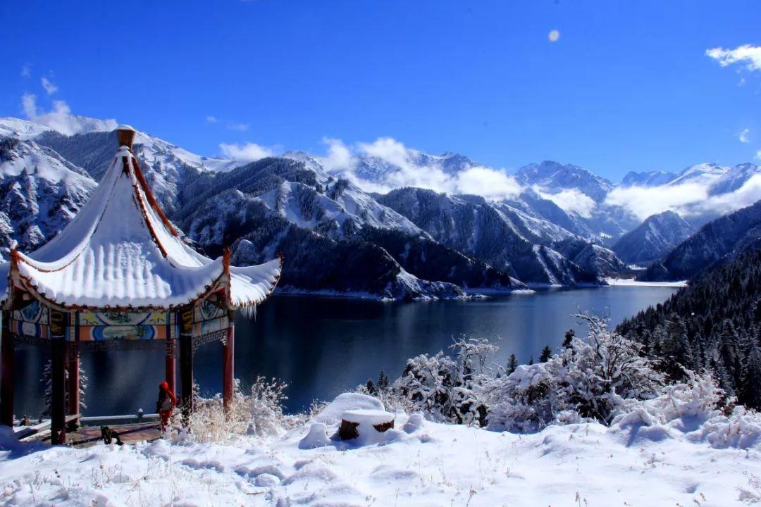 红树林逃生